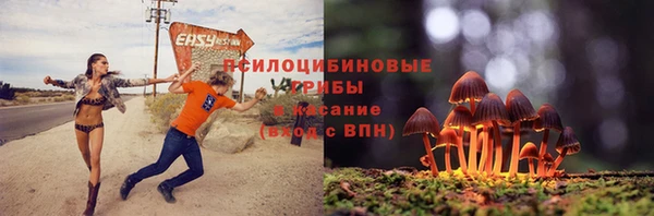 сатива Володарск