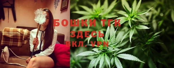 сатива Володарск
