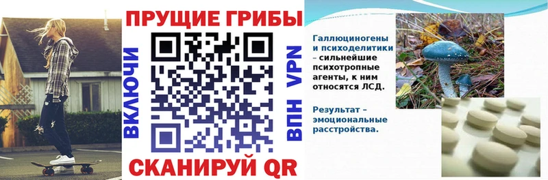 Галлюциногенные грибы Magic Shrooms  МЕГА ТОР  Набережные Челны  магазин  наркотиков 